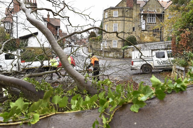 Emergency response teams deal with the fallen tree on Station Road.