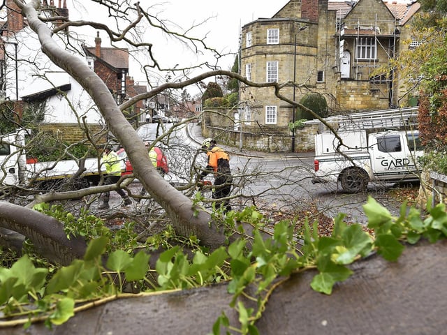 Emergency response teams deal with the fallen tree on Station Road.