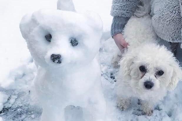 Laura Michelle Webster: Poppy and her snowdog