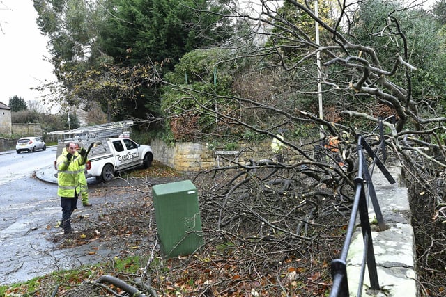 Emergency response teams arrive to remove a fallen tree.