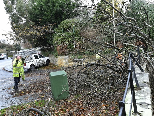 Emergency response teams arrive to remove a fallen tree.