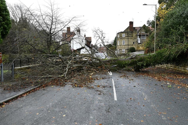 A fallen tree blocks Station Road.