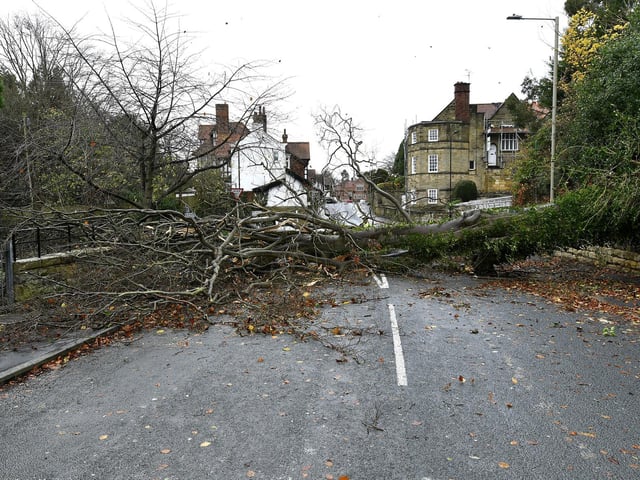 A fallen tree blocks Station Road.
