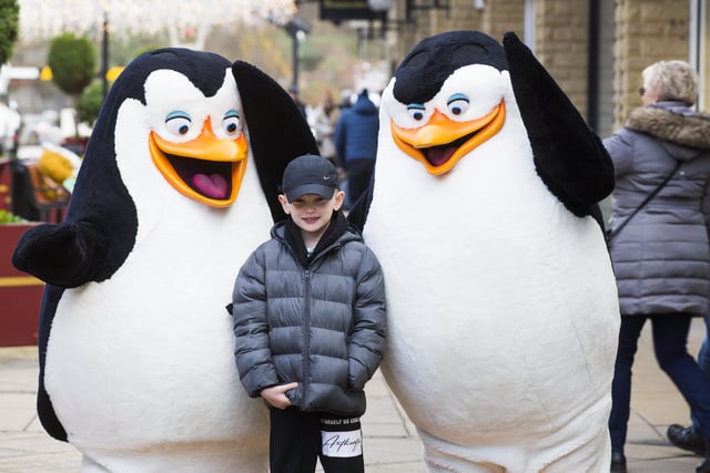 Leiton Partington, seven, with the penguins as part of Discover Halifax's festive events.