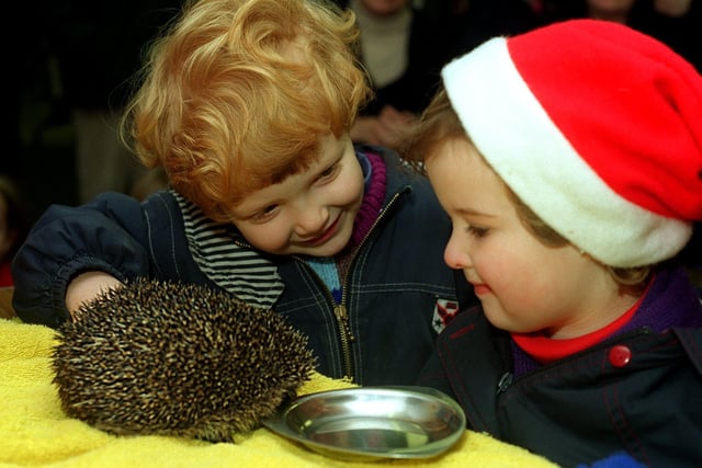 So that's a hedgehog, what do you think of it? Hamish Smith and Claire Parkesare two of the children who went to Headingley Library for 'Prickles for Christmas,' a talk on hedgehogs by Pennie Keech of the Leeds Hedgehog Sanctuary.