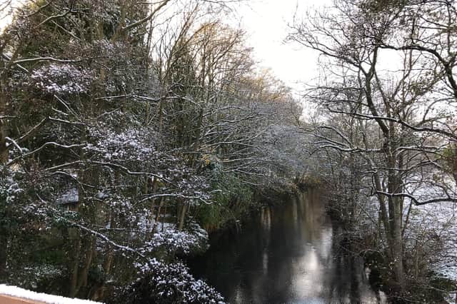 Snowy trees on River Nidd, Pateley Bridge, taken by Katherine Schoon.