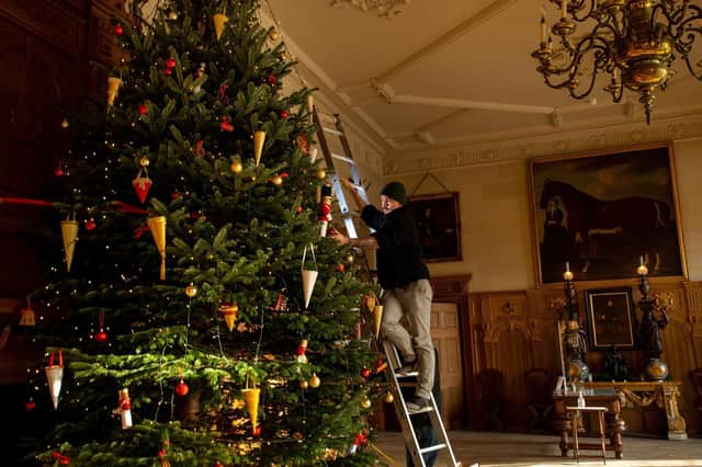 What's on this Christmas in Leeds.  Pictured: Josh Turner and Michael Clarke decorating the 18' Christmas Tree in the Great Hall. Photo: Bruce Rollinson.