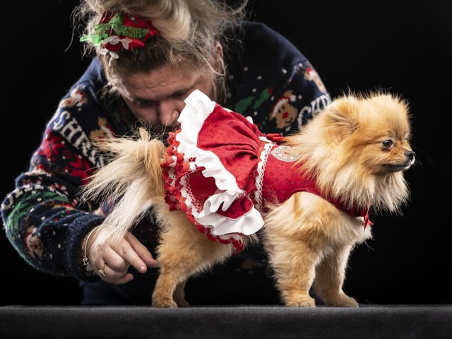 Amy Sullivan with Tallulah, the Pomeranian dog, during the Victorian Christmas themed Furbabies Dog Pageant at Collingham Memorial Hall, Leeds.