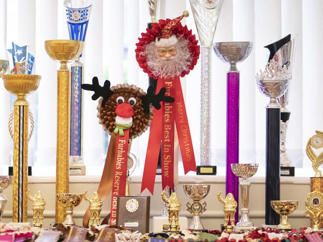 Trophies for the Furbabies Dog Pageant displayed at the Collingham Memorial Hall, Leeds.