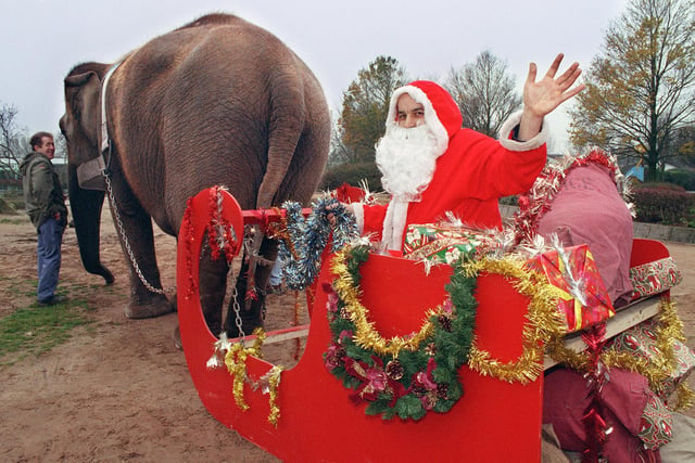 Father Christmas at Blackpool Zoo on his sleigh pulled by Crumple the elephant, 1998