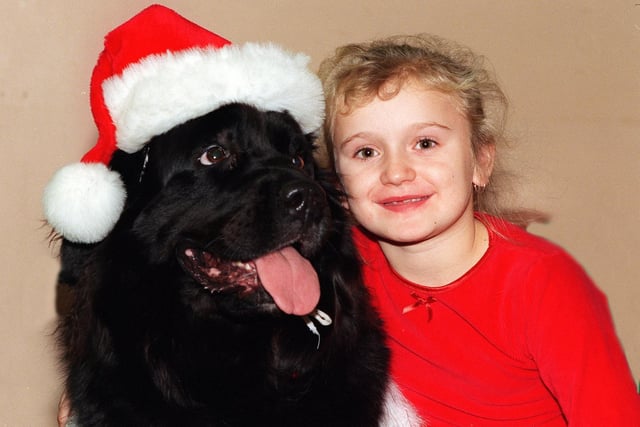 Stacey Allanson,  a patient on ward 48 at Leeds General Infirmary met 'Molly' the Newfoundland dog who was starring in the pantomime Mother Goose at Leeds Civic Theatre when the cast visited to hand out presents.
