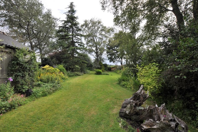 The attractive garden is bordered with shrubs and trees.