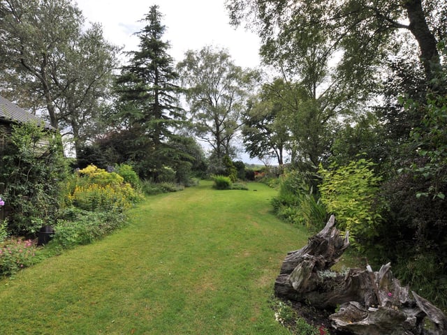 The attractive garden is bordered with shrubs and trees.