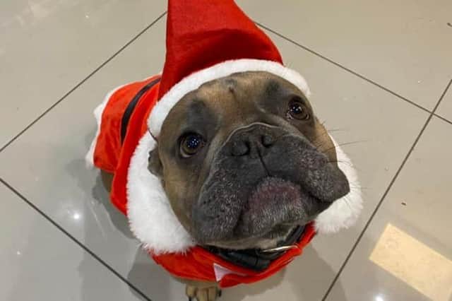 Pictured is Dave in his festive get-up, submitted by Mick Ellis.