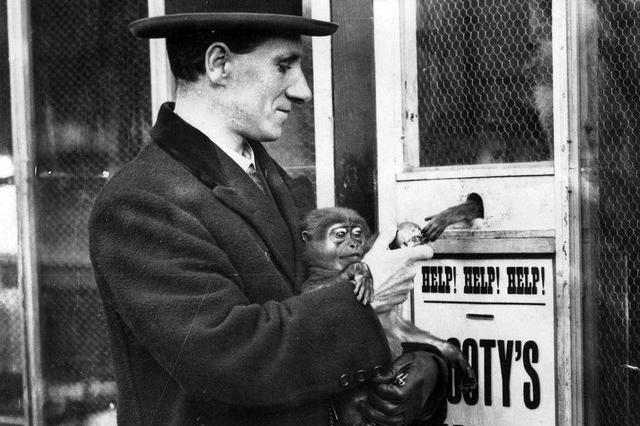 November 1923 and a smartly-dressed man is outside the monkey enclosure at Roundhay Park Zoo, Canal Gardens. A box collecting money for 'Sooty's Appeal' was part of the Boots for Bairns campaign.