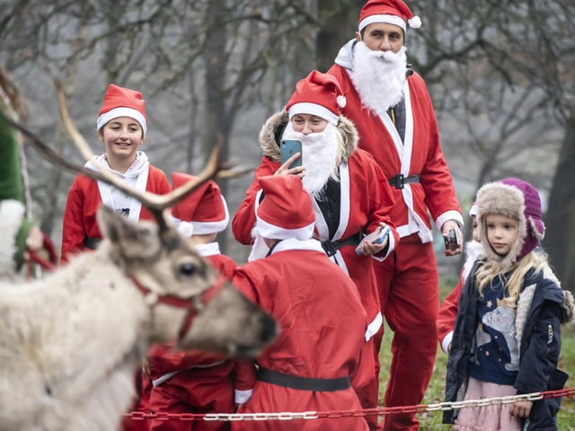 A real reindeer was in attendance