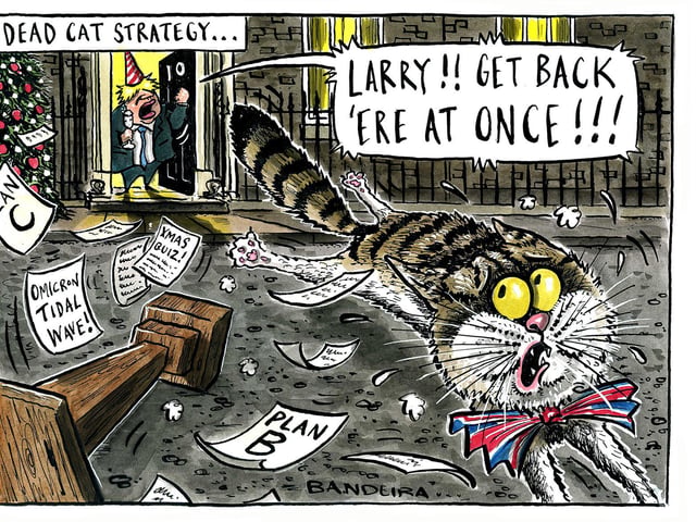 The Yorkshire Post cartoon