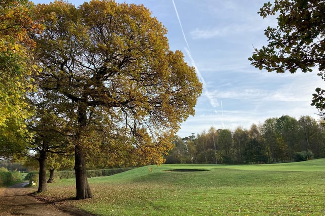 A sunny autumn morning on Normanton Golf Course, by Alan Barnes