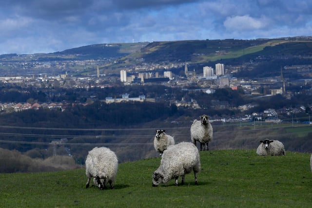 Calderdale has just four confirmed cases, with 90 other cases suspected to be Omicron.
