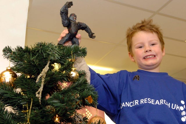 Four year old George Claydon puts King Kong on top of the Christmas Tree at Wishes, the Cancer Research UK shop in Beulah Street Harrogate.