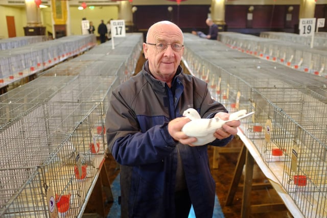 Ian Evans, the CEO of the Royal Pigeon Racing Association says: “Although the virtual event was a success this year, we are looking forward to returning to Blackpool in January for our 50th show.