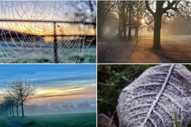 Some of this week's photos shared by readers.