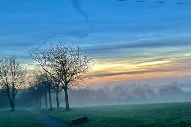 Steve Turner snappd a misty morning on Ryhill park.