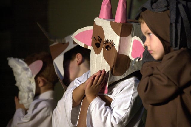 The stable animals at the nativity play staged at Armley Primary School in December 2000.