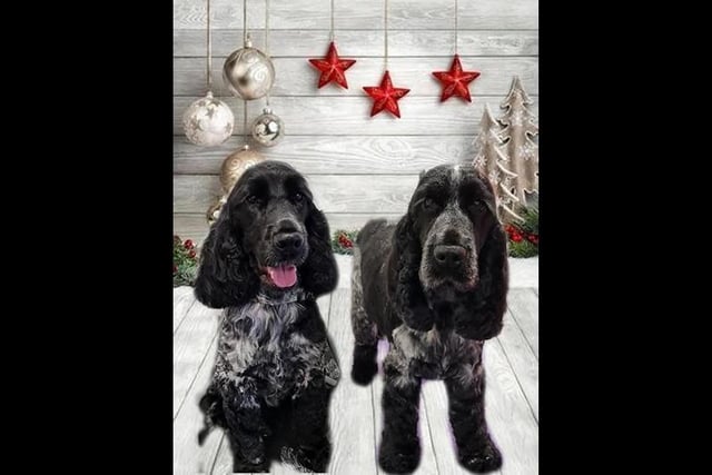 Katie Rebecca sent us this picture of mother on the right (Kemba) and son on the left (Teddy) after their Christmas hair cut