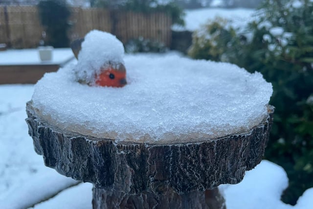 A garden ornament of a robin is covered in snow, which fell overnight in West Yorkshire
