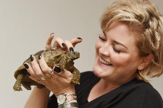 A delightful story to cover, in between photos and video, little Fred was chasing me around the room (he moves faster than expected) headbutting my feet, he may be small, but he's mighty!  Standish resident Emma Appleton was delighted to have her pet tortoise Fred back home, after he went missing for a week, he was found after a social media appeal.