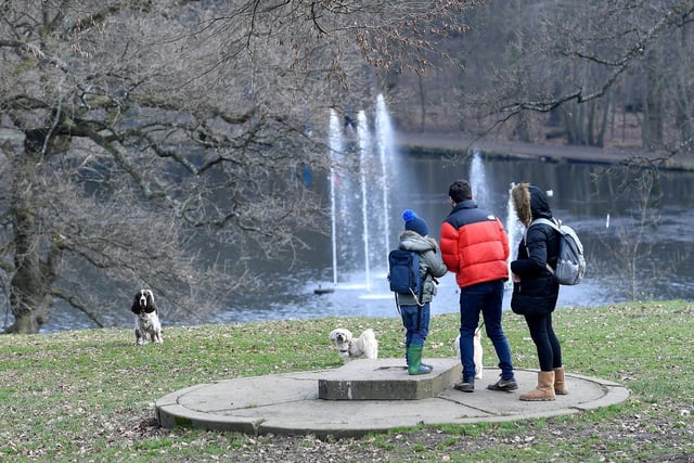 Covering 700 acres of parkland, lakes and woodland, walkers in Roundhay Park have plenty of scenic spots to wander around at this popular outdoor spot, incorporating both tarmac paths and woodland routes.