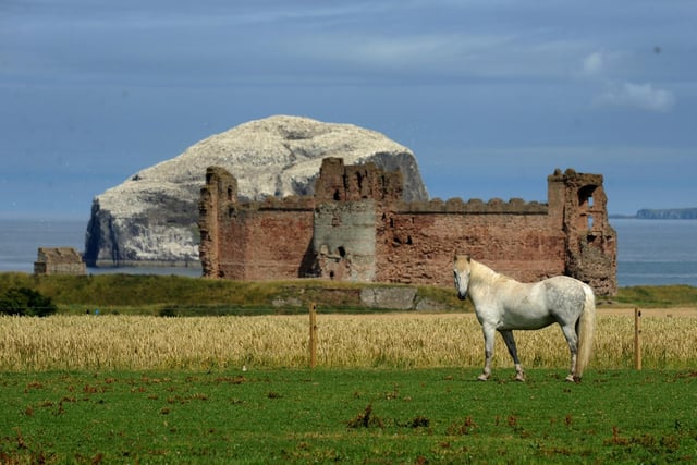 Set on a cliff edge, this once-mighty fortress was home to the Red Douglas dynasty. PIC: TSPL.