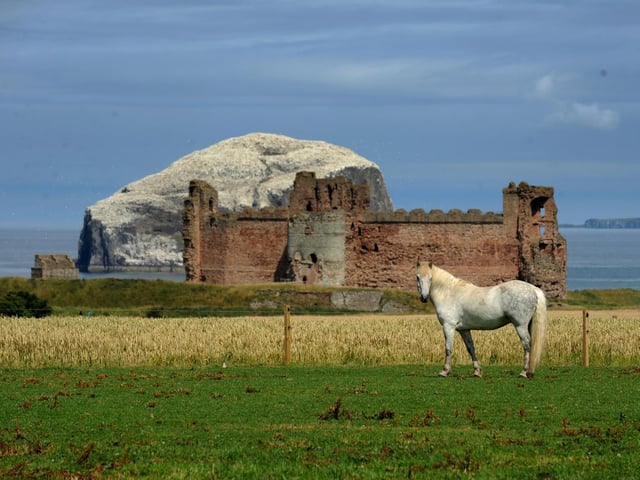 Set on a cliff edge, this once-mighty fortress was home to the Red Douglas dynasty. PIC: TSPL.
