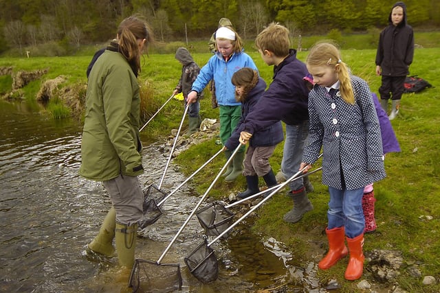 Stow Primary School pupils take to the great outdoors to learn about biodiversity.