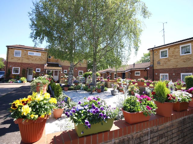 Best community garden 2019 Ekins Close