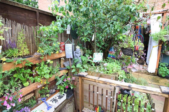 Most environmentally friendly garden 2019  Sally Harris