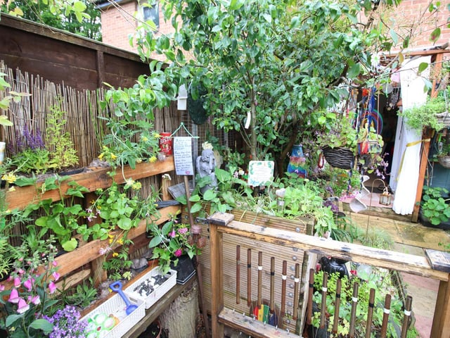 Most environmentally friendly garden 2019 Sally Harris