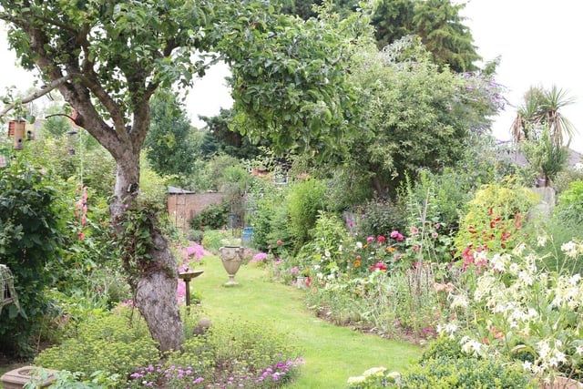 Best garden 2019  Cynthia Hawes