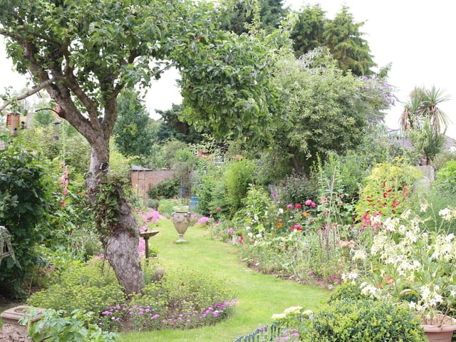 Best garden 2019 Cynthia Hawes