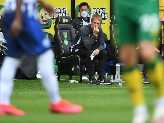 Graham Potter steered Brighton to a vital 1-0 win at Norwich