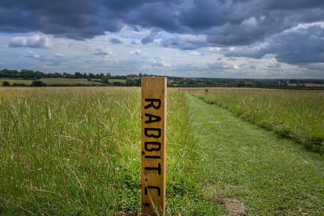 The five acres are marked out with wildlife related signposts.