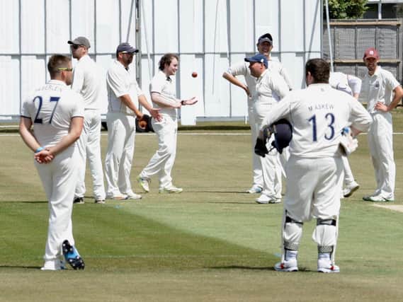 Littlehampton celebrate a wicket