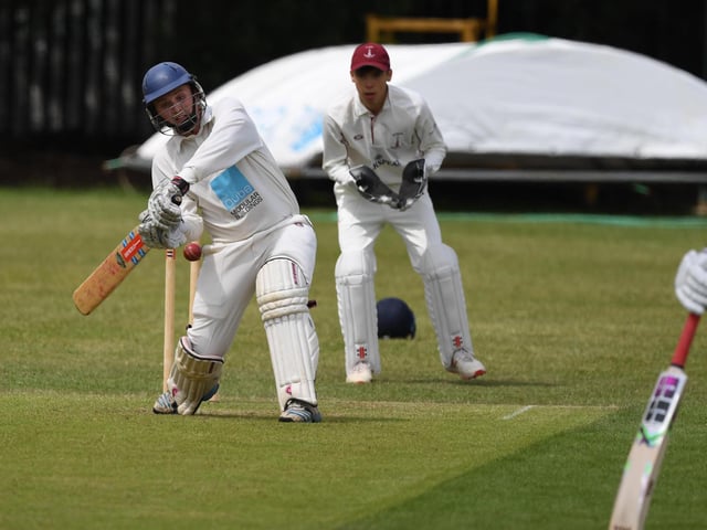 Action from the ONs