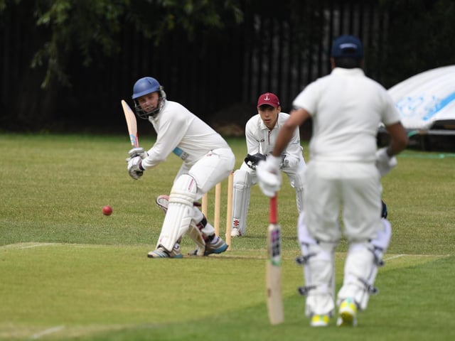Action from the ONs