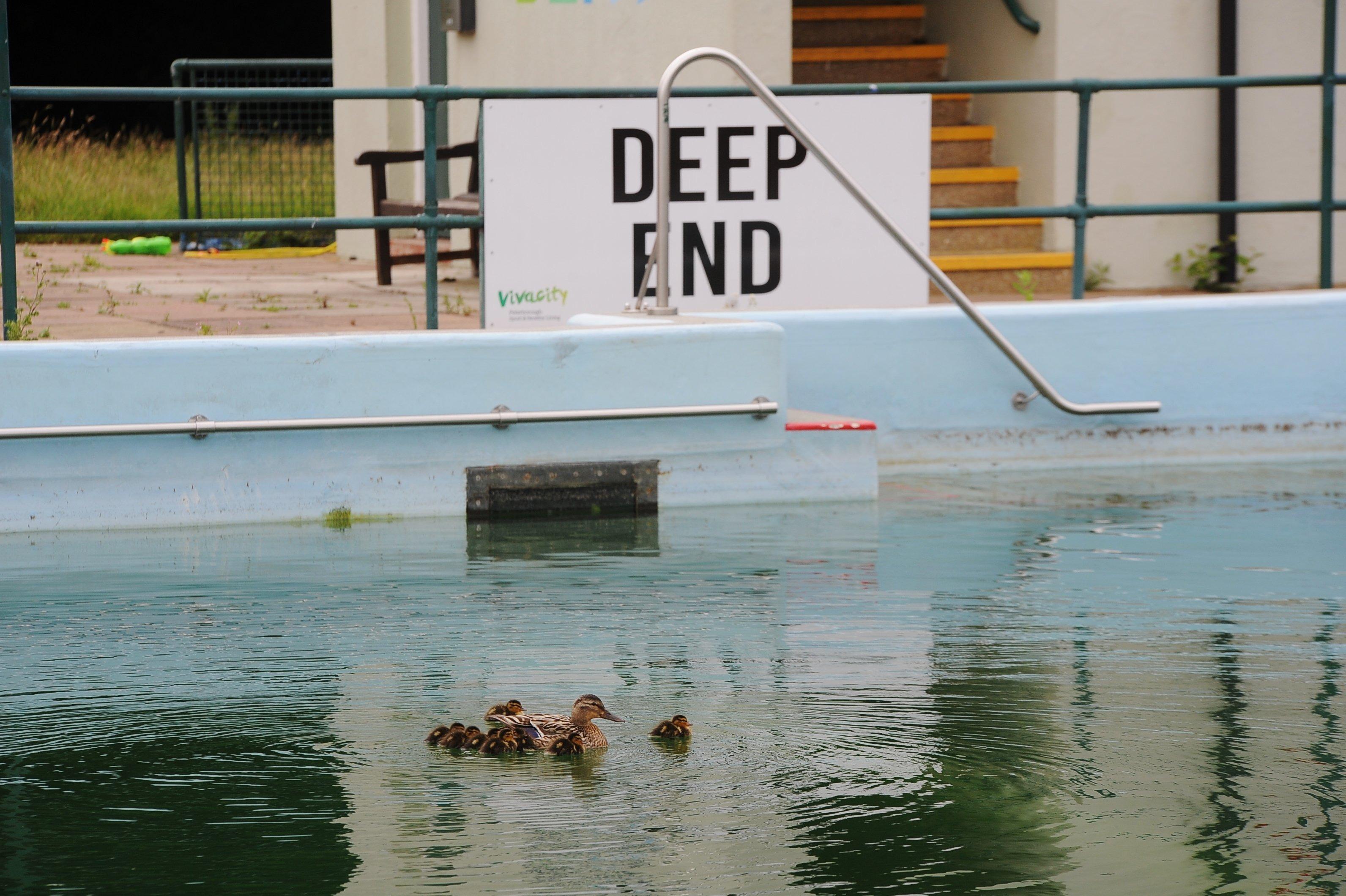 Discussions are ongoing about if the Lido can re-open this year or not