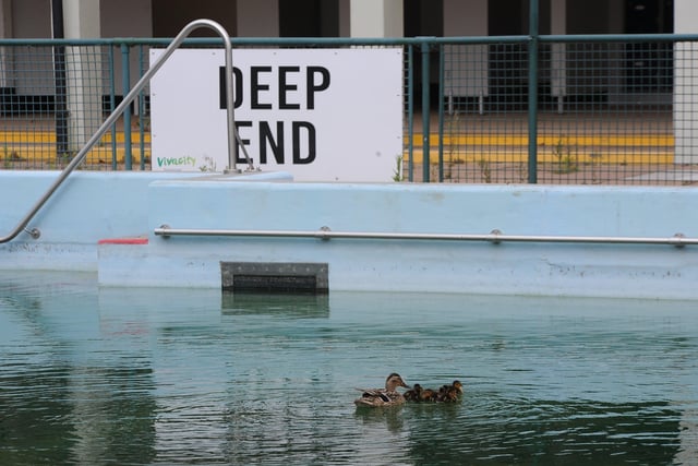 Discussions are ongoing about if the Lido can re-open this year or not