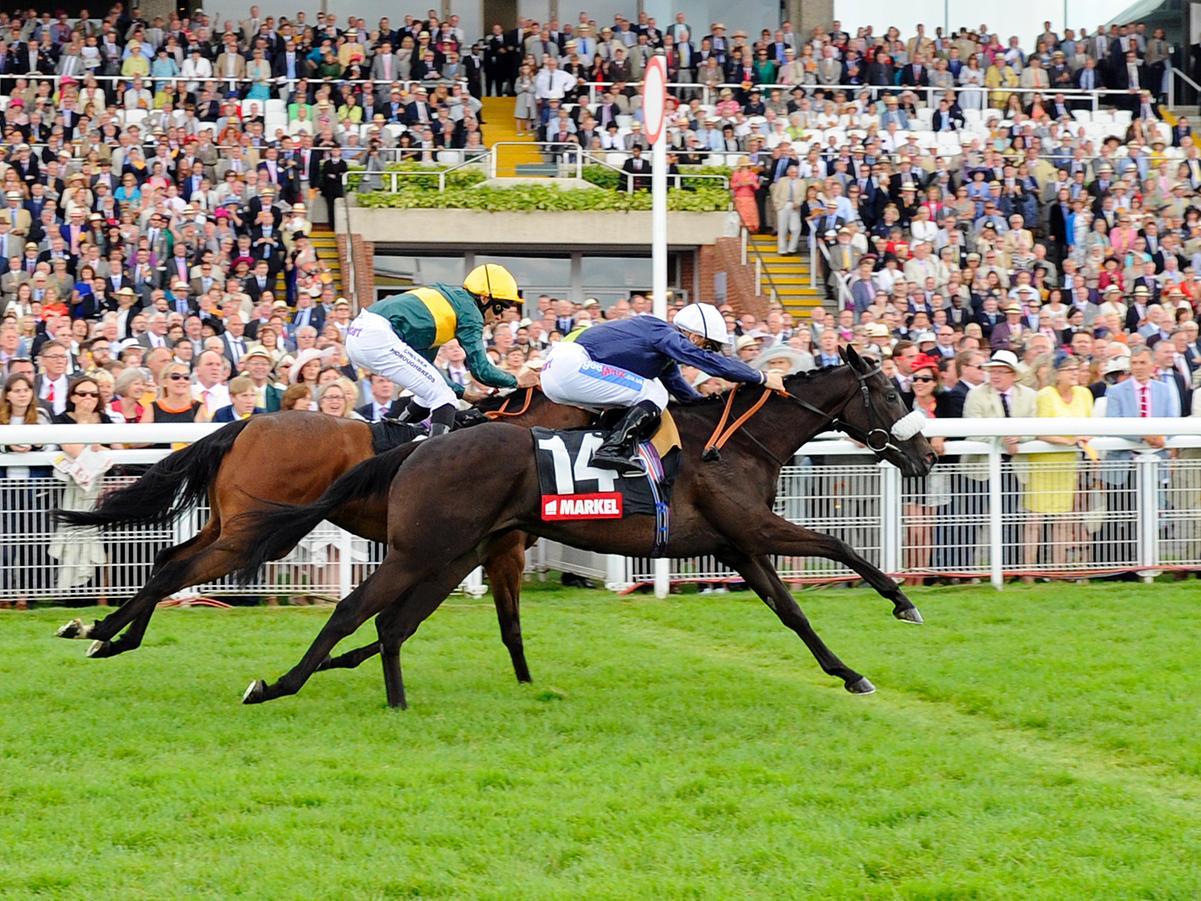 Action from Glorious week in 2016 / Pictures: Malcolm Wells