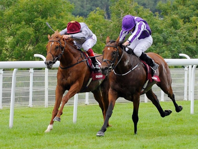 Action from Glorious week in 2016 / Pictures: Malcolm Wells