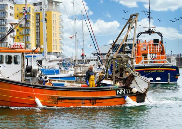Coming home at the end of the day: Ralph Davies took this evocative picture of a fisherman on his craft and Eastbourne's lifeboat at Sovereign Harbour with a Nikon D 7000. SUS-200508-120406001